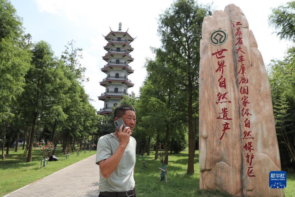 捕鱼大作战下载